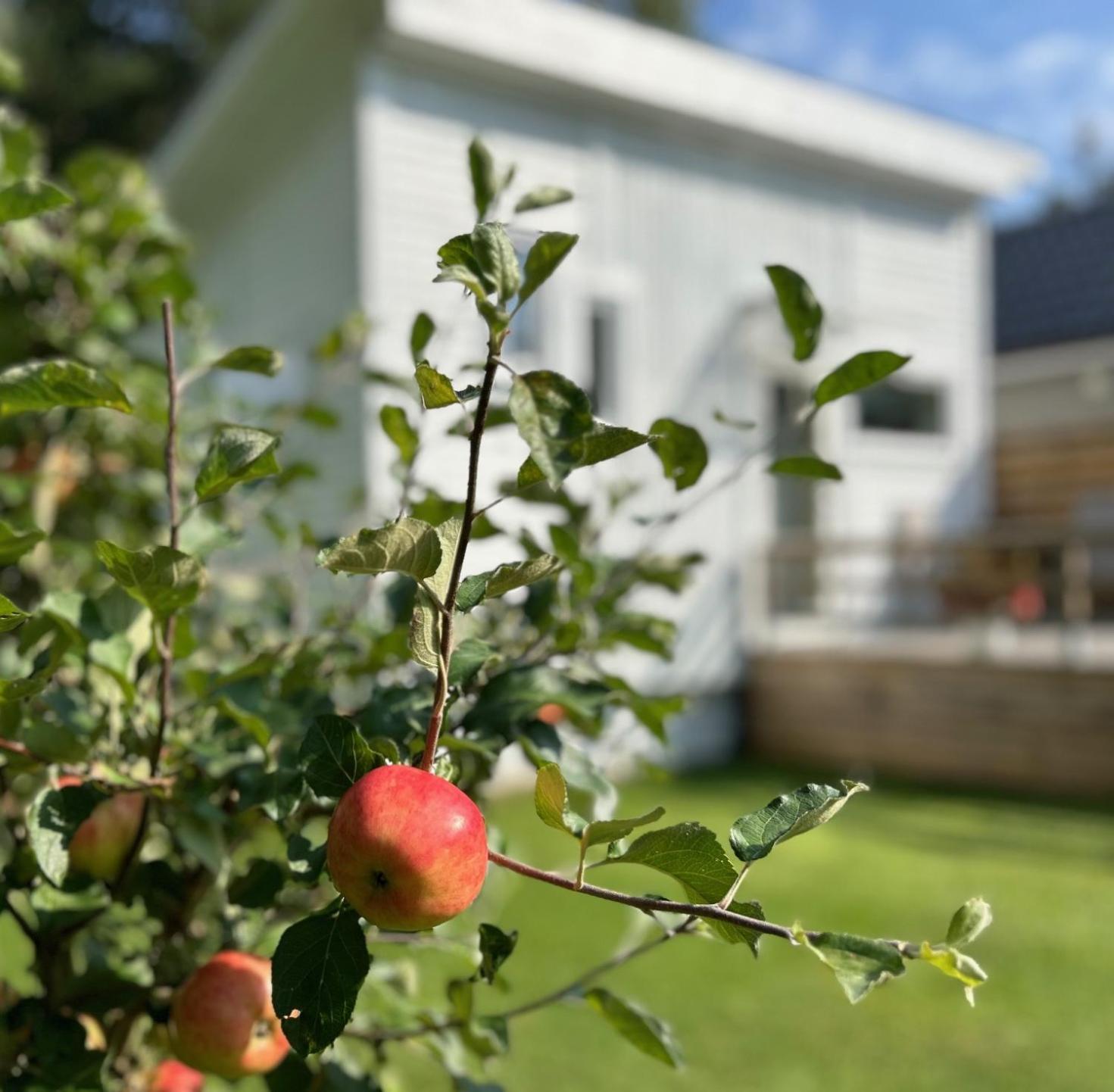 Lilla Huset Bed & Breakfast - Countryside Guesthouse, Free Parking Örebro Esterno foto